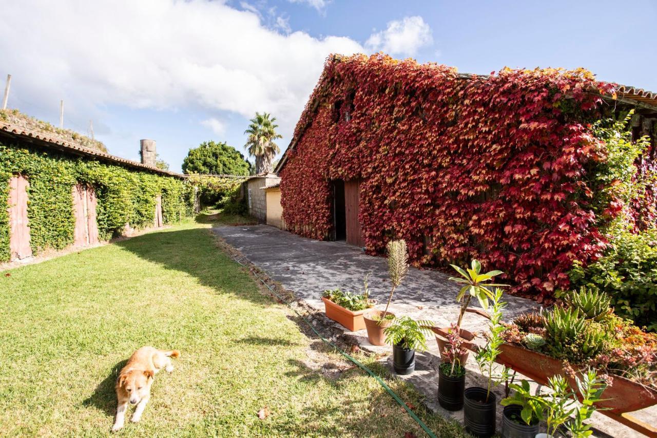 Casa Da Varzea Ponte de Lima Exterior photo
